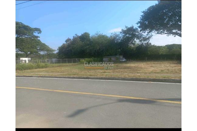 Lotes, Venta en Palmira