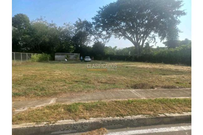 Lotes, Venta, Palmira - $345.000.000