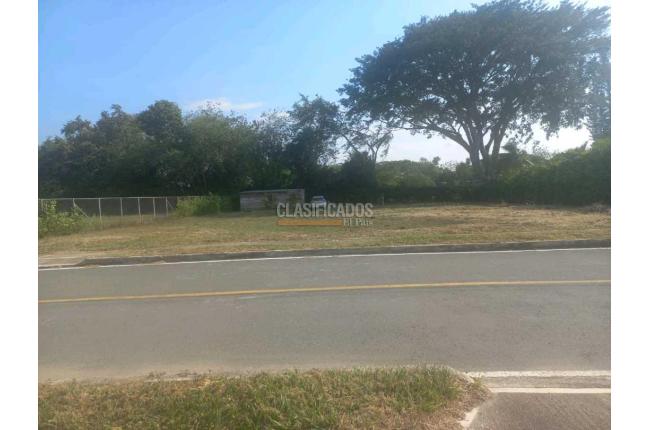 Lotes, Venta, Palmira - $345.000.000