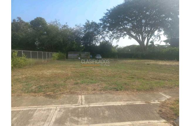 Lotes, Venta, Palmira - $345.000.000