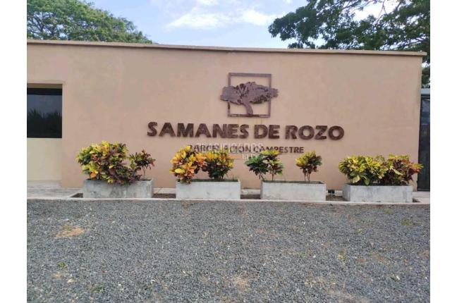 Lotes, Venta, Palmira - $345.000.000