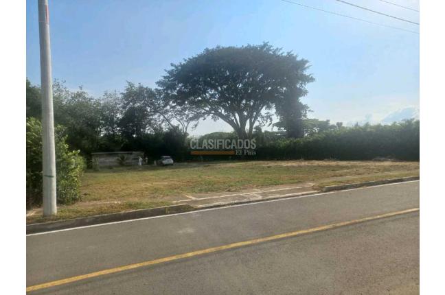 Lotes, Venta, Palmira - $345.000.000