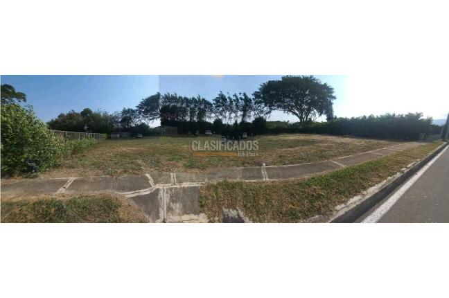 Lotes, Venta, Palmira - $345.000.000