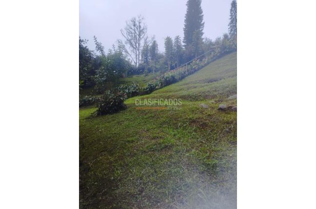 Fincas y Casas Campestres, Venta, Dagua - $850.000.000