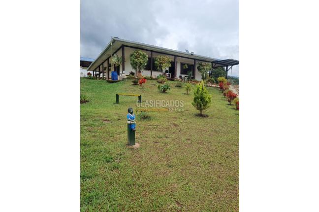 Fincas y Casas Campestres, Venta, Dagua - $530.000.000