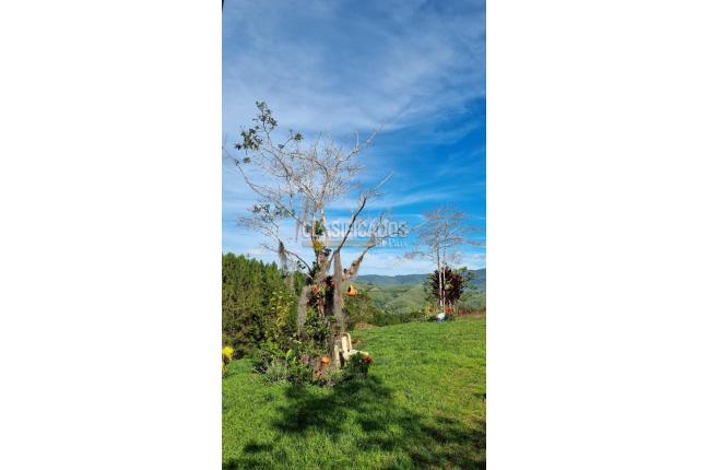 Fincas y Casas Campestres, Venta, Dagua - $490.000.000