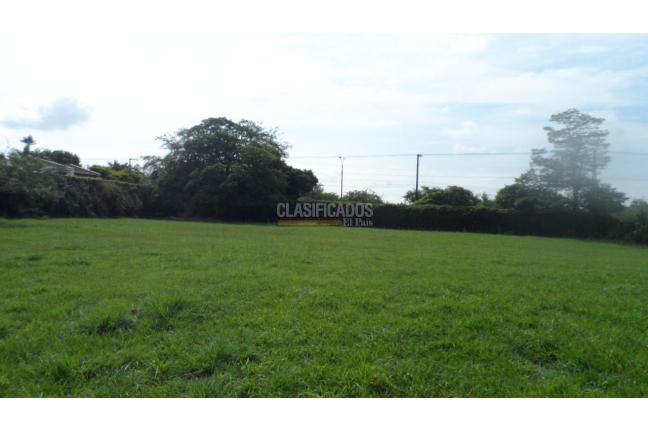 Lotes, Venta en Pance