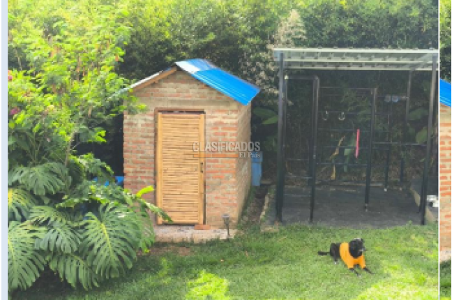 Fincas y Casas Campestres, Venta, La Castilla - $3.369.000.000