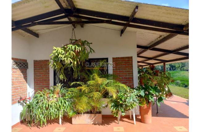 Fincas y Casas Campestres, Venta, Dagua - $300.000.000