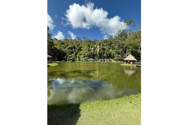 Apartamentos, Alquiler, Rionegro - $12.000.000