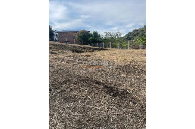 Lotes, Venta en La Buitrera