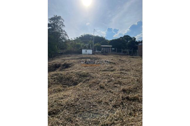 Lotes, Venta en La Buitrera