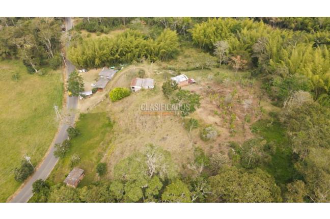 Fincas y Casas Campestres, Venta, Calima (Darién) - $1.300.000.000