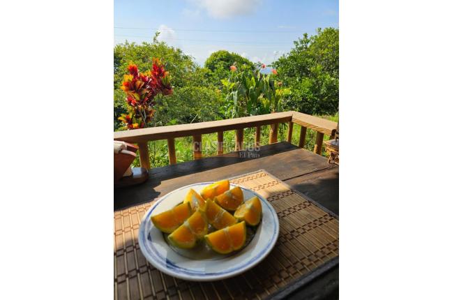 Fincas y Casas Campestres, Venta en Jamundí