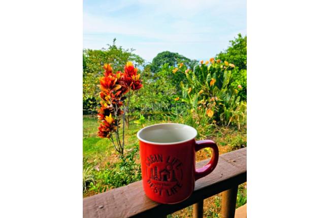 Fincas y Casas Campestres, Venta en Jamundí