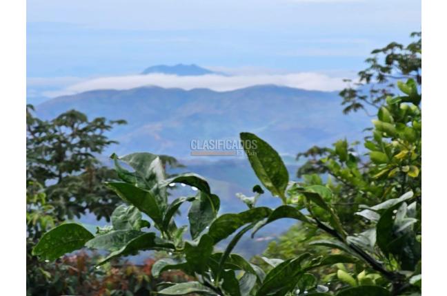 Fincas y Casas Campestres, Venta, Jamundí - $130.000.000