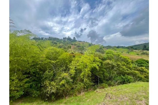 Lotes, Venta, Yumbo - $600.000.000