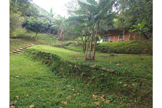 Fincas y Casas Campestres, Venta, Pichindé - $260.000.000