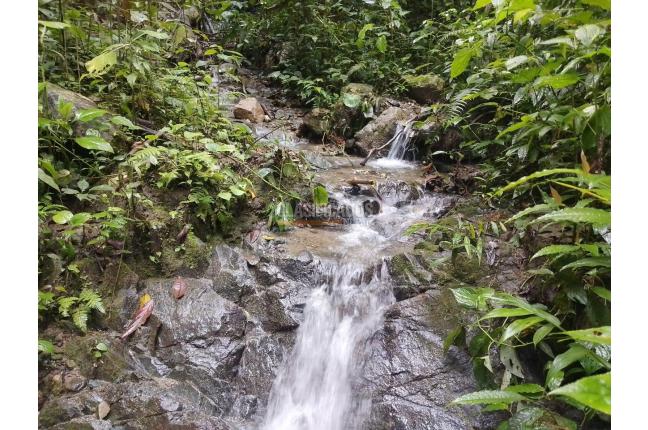 Fincas y Casas Campestres, Venta en Ginebra