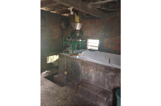 Fincas y Casas Campestres, Venta, Ginebra - $350.000.000