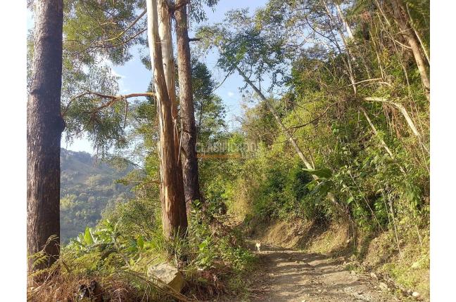 Fincas y Casas Campestres, Venta, Ginebra - $350.000.000