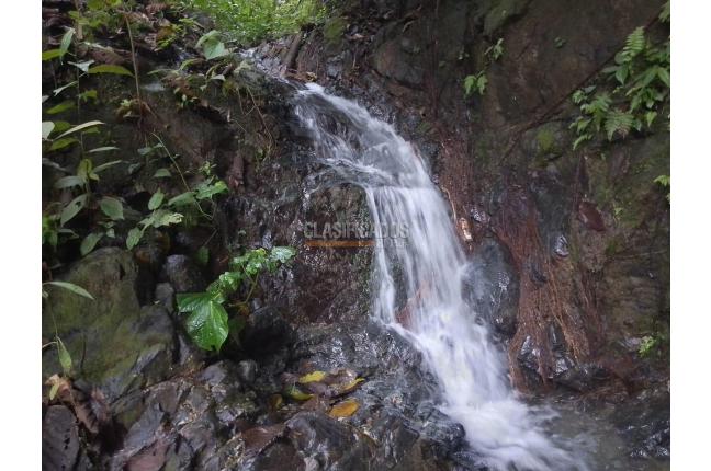 Fincas y Casas Campestres, Venta, Ginebra - $350.000.000