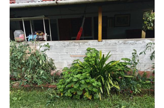 Fincas y Casas Campestres, Venta, Ginebra - $350.000.000