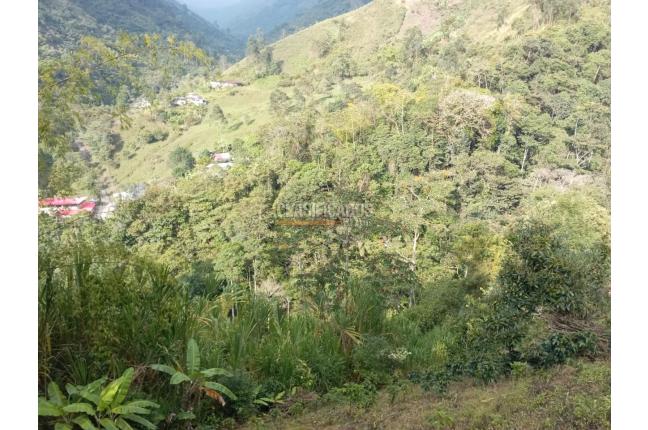 Fincas y Casas Campestres, Venta, Ginebra - $350.000.000