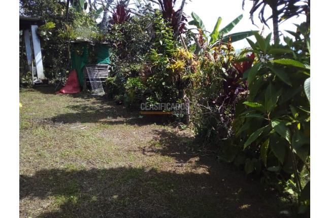 Fincas y Casas Campestres, Venta, La Elvira - $186.000.000