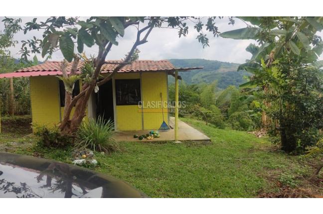 Fincas y Casas Campestres, Venta en Guacarí
