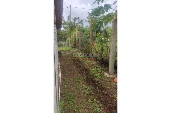 Fincas y Casas Campestres, Venta en Guacarí