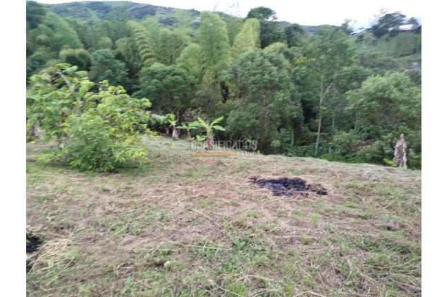 Fincas y Casas Campestres, Venta, Guacarí - $80.000.000