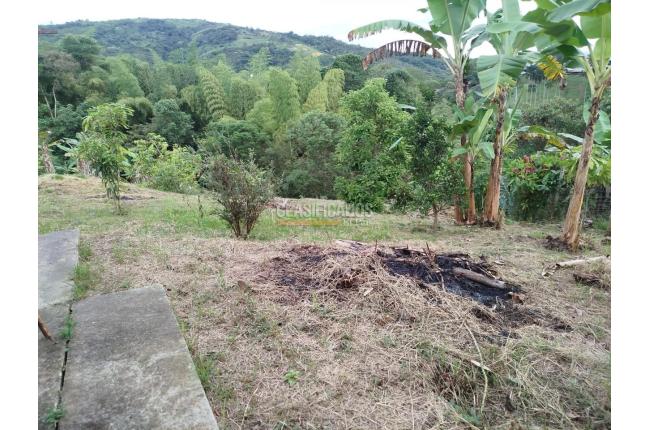 Fincas y Casas Campestres, Venta, Guacarí - $80.000.000