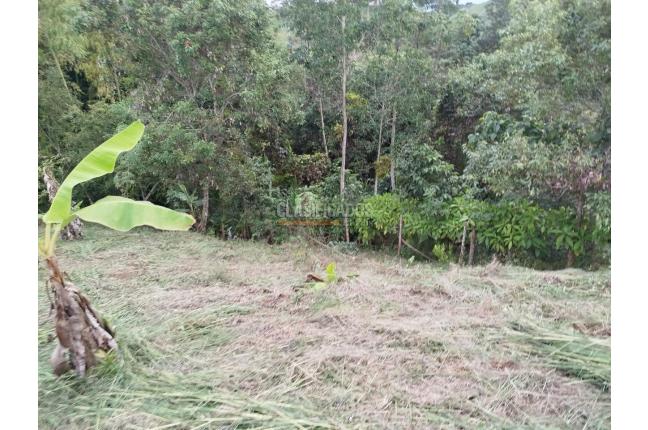 Fincas y Casas Campestres, Venta, Guacarí - $80.000.000