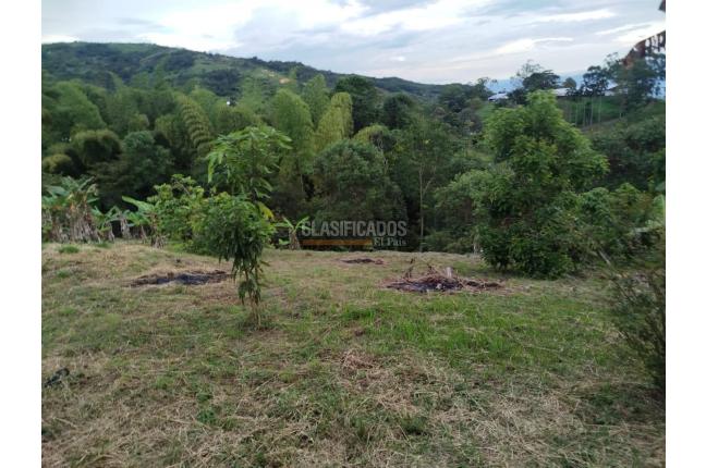 Fincas y Casas Campestres, Venta, Guacarí - $80.000.000