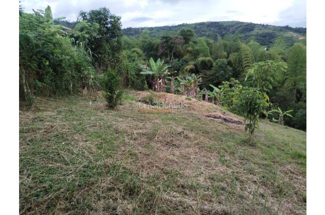 Fincas y Casas Campestres, Venta, Guacarí - $80.000.000