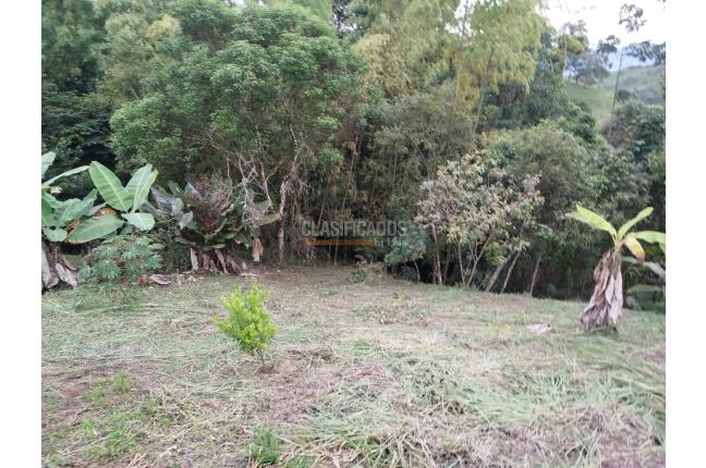 Fincas y Casas Campestres, Venta, Guacarí - $80.000.000
