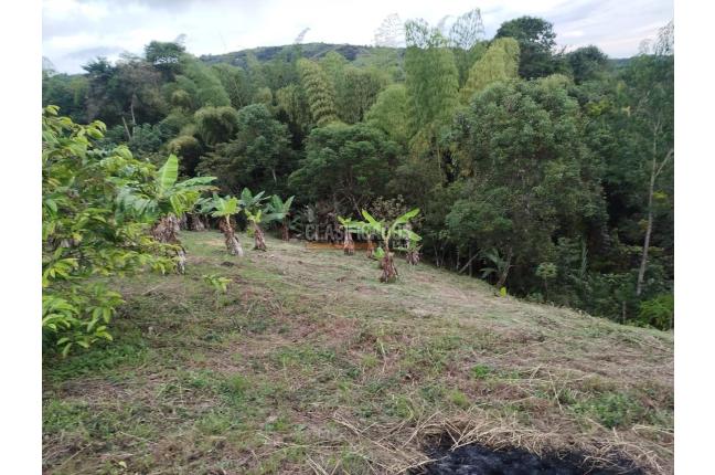 Fincas y Casas Campestres, Venta, Guacarí - $80.000.000