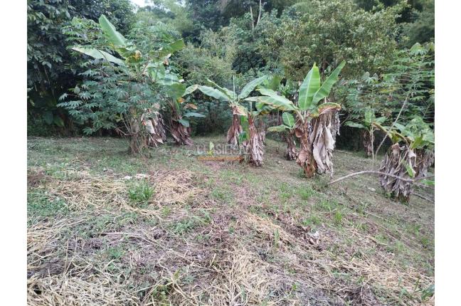 Fincas y Casas Campestres, Venta, Guacarí - $80.000.000