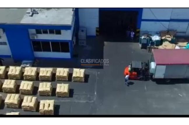 Locales y Bodegas, Venta, Salomia - $25.000.000.000