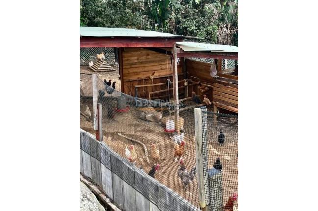 Fincas y Casas Campestres, Venta, Yumbo - $1.950.000.000