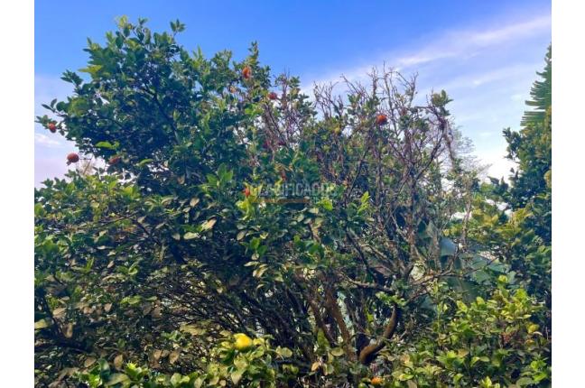 Casas, Venta, Yumbo - $680.000.000