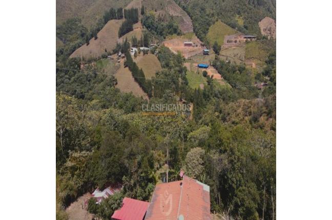 Fincas y Casas Campestres, Venta, Jamundí - $585.000.000