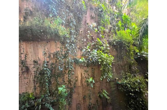 Oficinas y Consultorios, Venta, Centenario - $650.000.000