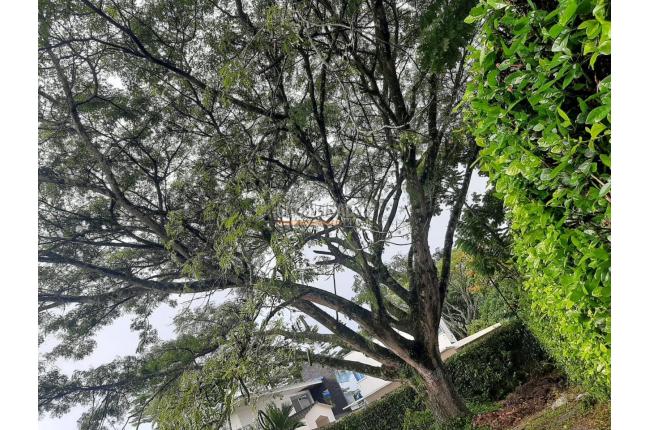 Lotes, Venta, Jamundí - $425.000.000