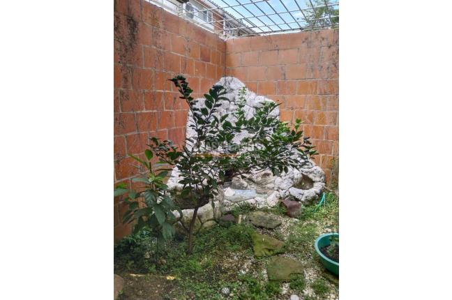 Casas, Venta, Jamundí - $300.000.000