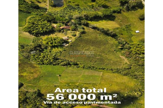 Lotes, Venta en Calima (Darién)