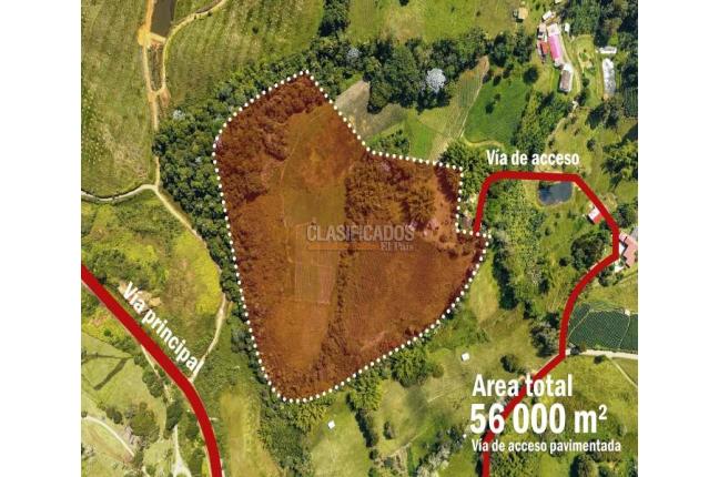 Lotes, Venta en Calima (Darién)