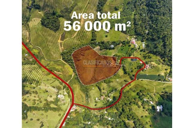 Lotes, Venta en Calima (Darién)