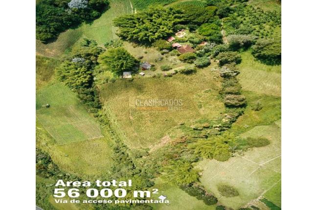 Lotes, Venta, Calima (Darién) - $350.000.000